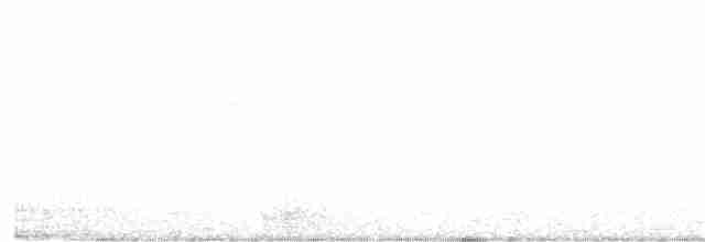 Дрімлюга гірський (підвид poliocephalus) - ML140776071