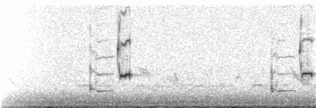 Loggerhead Shrike - ML140815471