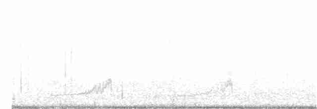 Snowy Plover (nivosus) - ML140959191