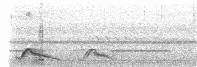 Pauraquenachtschwalbe - ML140983081