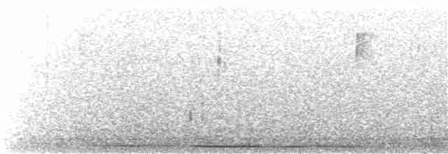 holub bledočelý - ML140988241