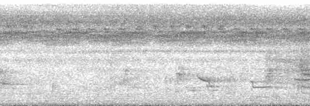 アフリカコウライウグイス - ML141014