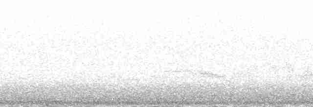 Kuyrukkakan (oenanthe/libanotica) - ML141059