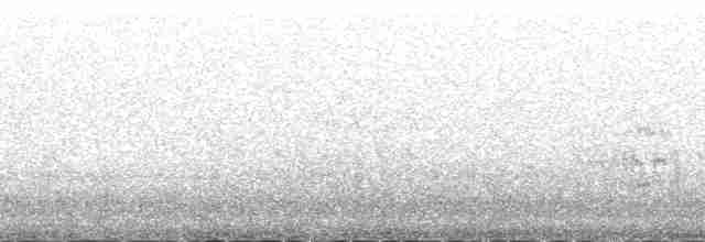 Бурунный песочник - ML141102