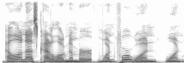 ML141113 visualization