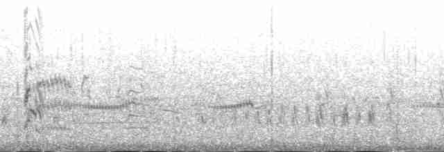 Flötenregenpfeifer - ML141165