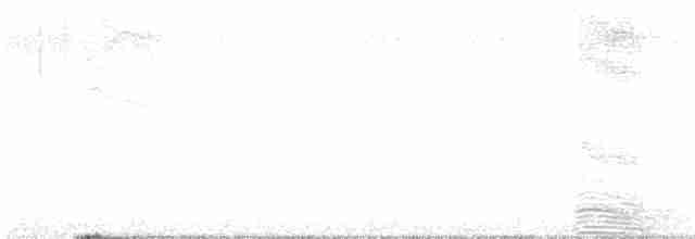 Белый ибис - ML141203111
