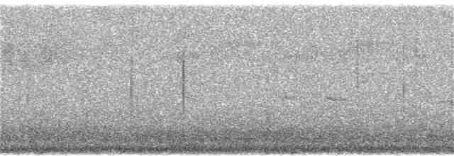 Тасманийскый радужник - ML141325521