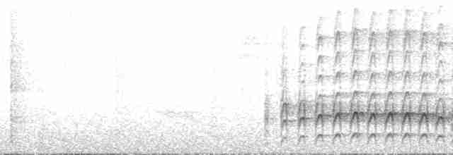 Çengel Gagalı Çaylak (uncinatus) - ML141335