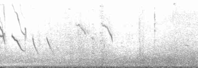 Bahama Swallow - ML141342