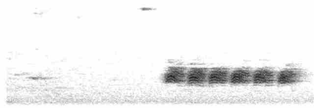 Mangrov Vireosu - ML141350471