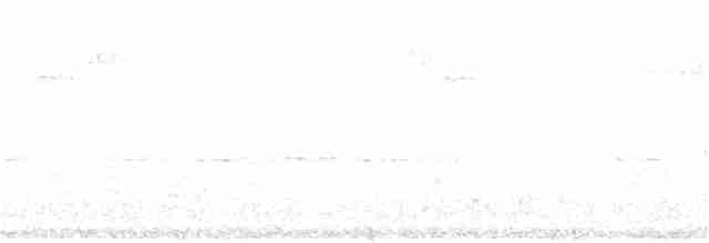 bjellehonningeter - ML141352031