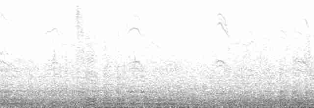 tučňák kroužkový - ML141363