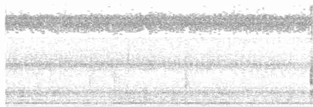 Bornean Ground-Cuckoo - ML141381241