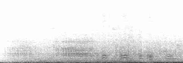 Feensturmvogel - ML141404