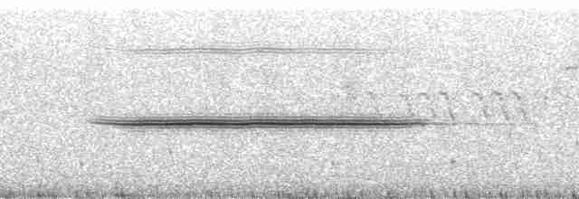 Turuncu Ardıç - ML14148