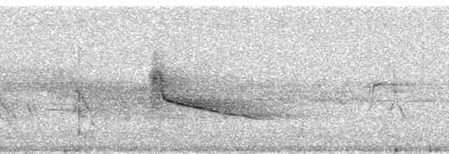 Дідрик смугастощокий (підвид lucidus) - ML141481