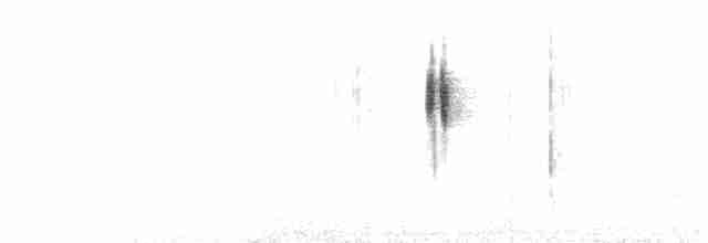 Arctic Warbler - ML141618571