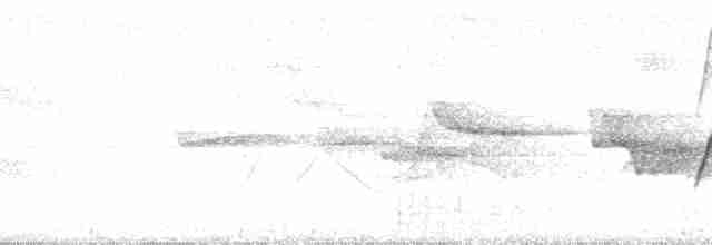 White-eared Sibia - ML14163