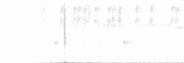 Пестрохвостая эферуса - ML141632611