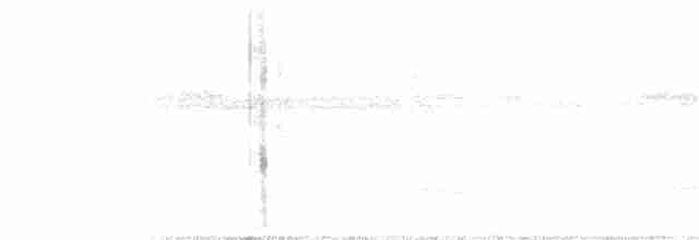 Ошейниковый лесной сокол - ML141633851