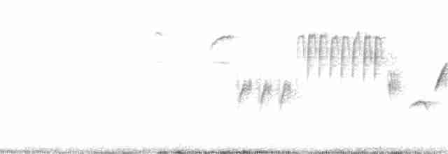 Bewick Çıtkuşu - ML141708981