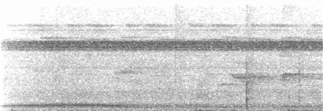 Меланезийская миагра - ML141713571