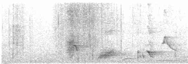 Cinereous Tinamou - ML141762641