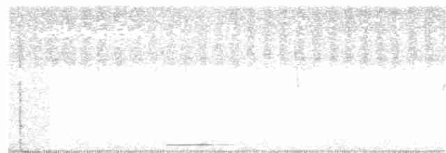 holoubek šedomodrý - ML141789121