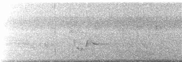 Vireo Ojiblanco - ML141857051