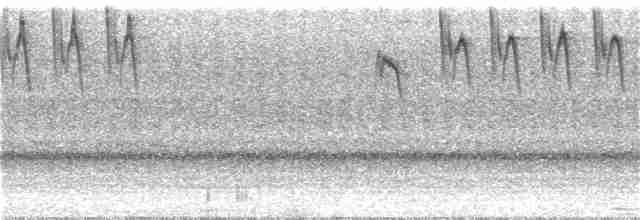 kolibřík sličný - ML141893281
