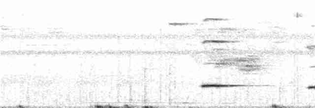 Graubrust-Ameisendrossel - ML141901611