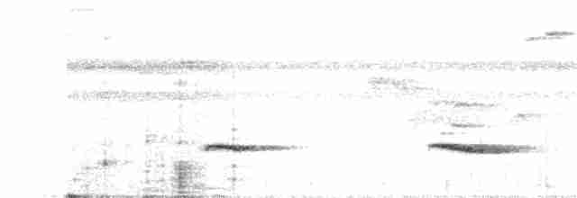 Braunrücken-Ameisenvogel - ML141946731