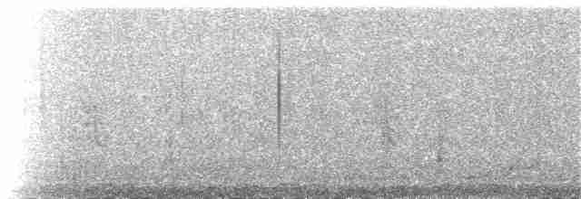 Uzun Kuyruklu Nektarkuşu (pulchellus) - ML141980571