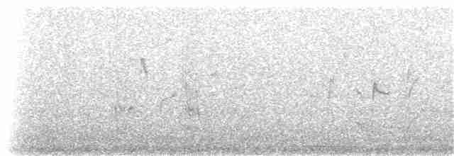Длиннохвостая нектарница - ML141980711