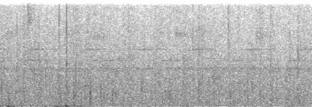 Gray Whistler (Brown) - ML142002