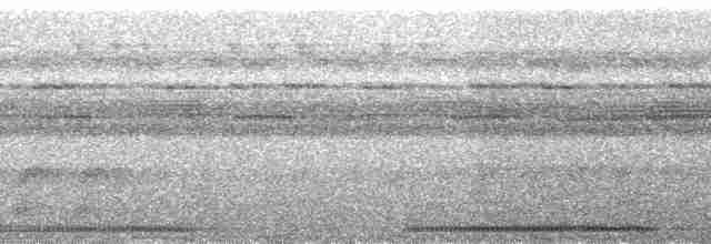 Yazılı Kocaağız [ocellatus grubu] - ML142005