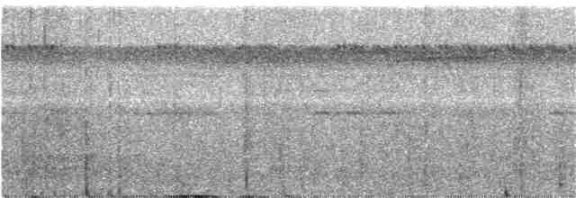Глазчатая гологлазка - ML142062331