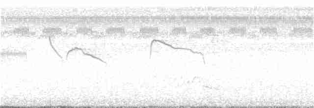 Küçük Kırlangıç Kuyruklu Ebabil - ML142063001