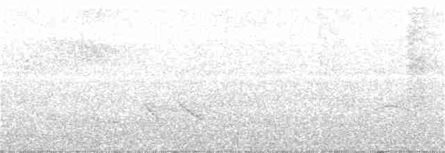 Gray-breasted Wood-Wren - ML142120211
