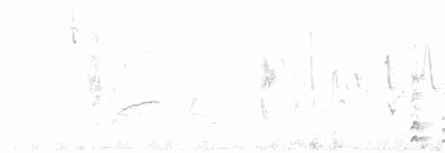 hvitbrynsvartspett - ML142152841