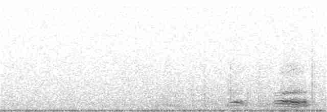 Great Cormorant - ML142168351