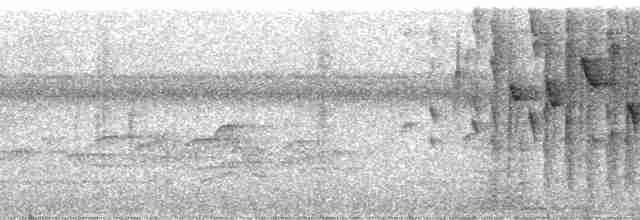 Black-eared Hemispingus (Black-eared) - ML142170