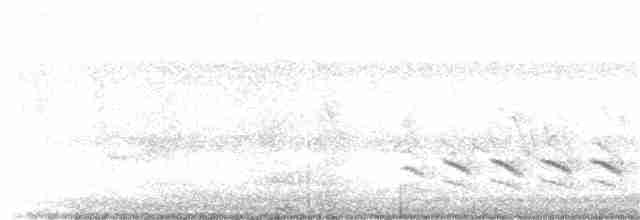 Sittelle à poitrine blanche - ML142220081