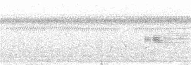 Приморская овсянка-барсучок (mirabilis) - ML142277431