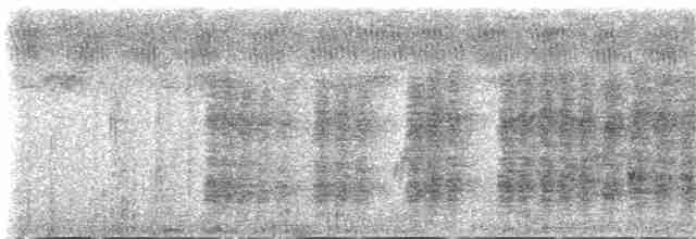 svarthetteskriketrost (reinwardtii) - ML142293221