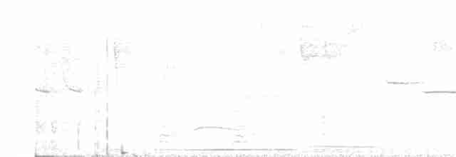 holub šedohlavý - ML142297581