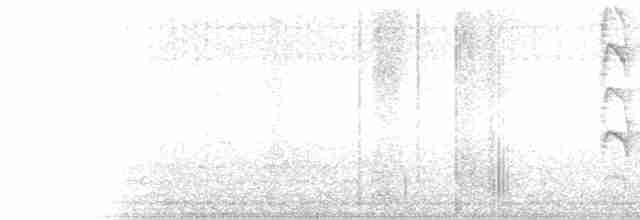 Chalk-browed Mockingbird - ML142317881