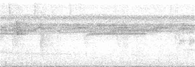 Тапіранга білодзьоба - ML142395691