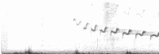 Каньонный крапивник - ML142417261